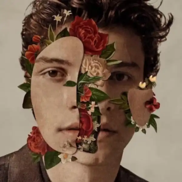 Shawn Mendes - Señorita Ft. Camila Cabello